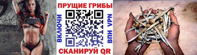 Галлюциногенные грибы мухоморы  Новохопёрск 